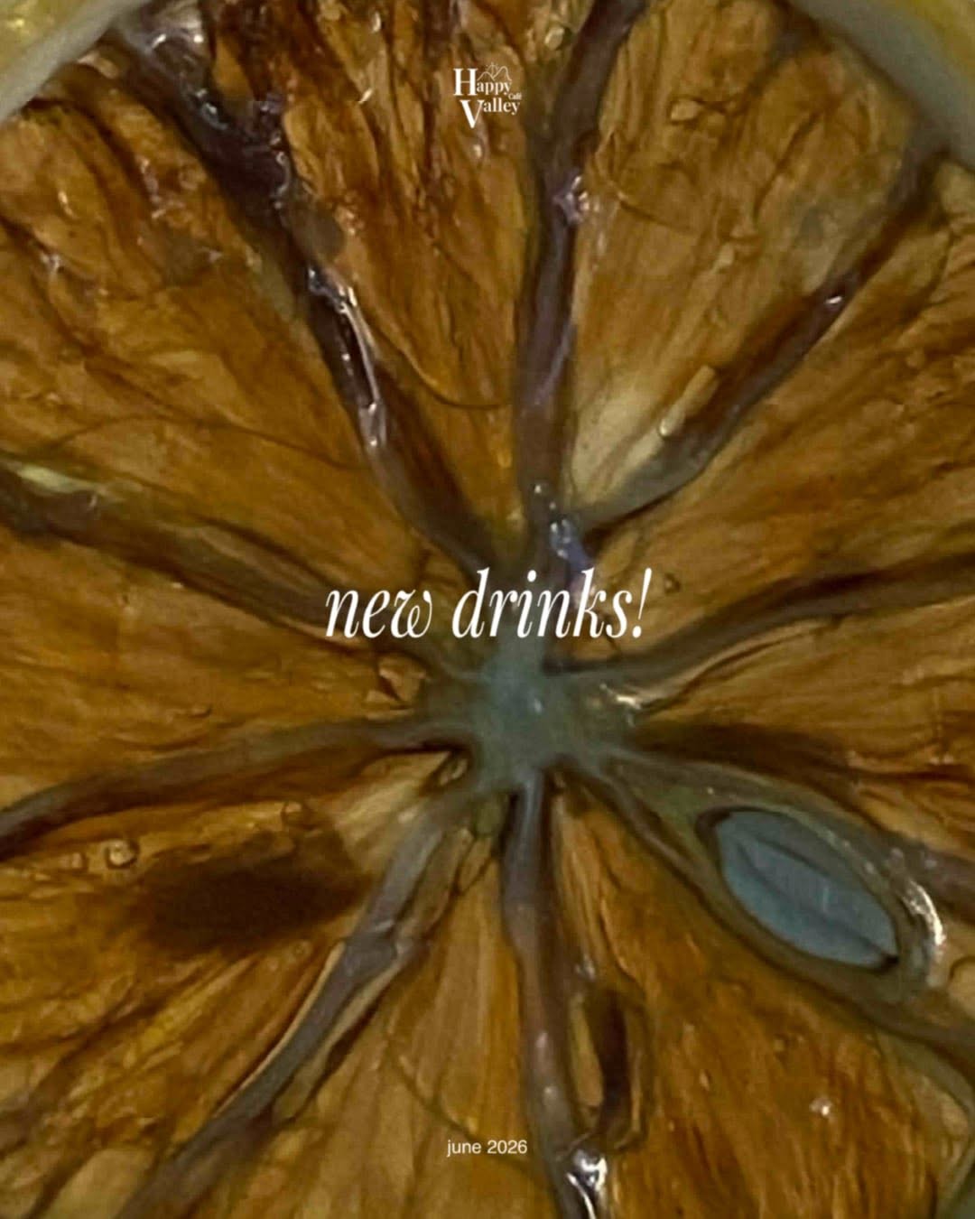 Close-up of dehydrated citrus slice — used as garnish for seasonal drinks at Happy Valley Café